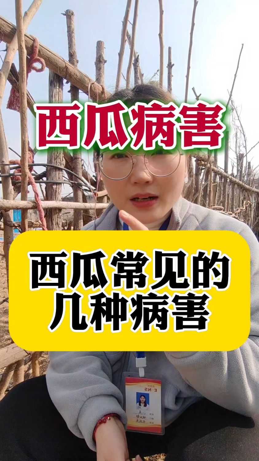西瓜常见病害有哪些