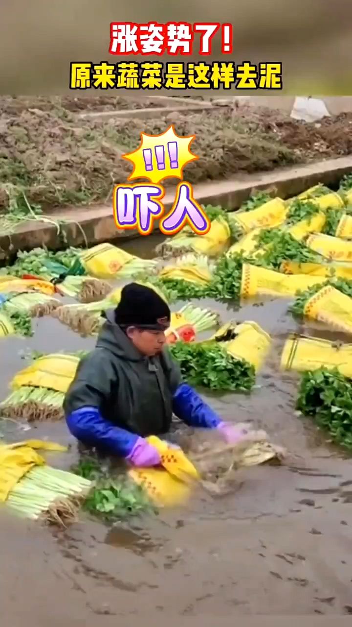 注意了!这几种水果蔬菜千万别再吃了。