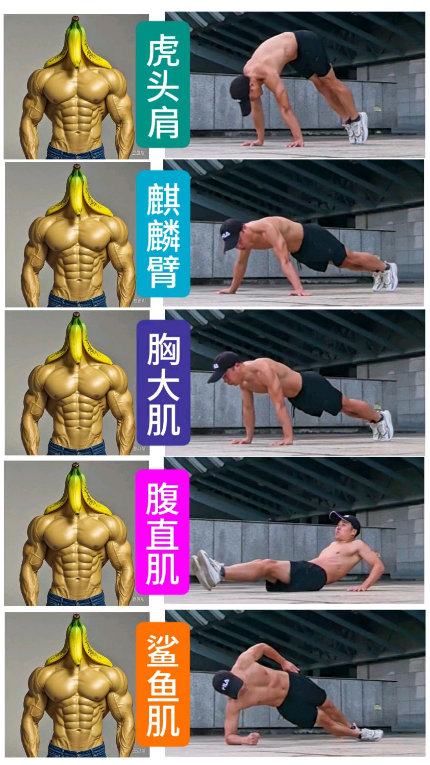 五个动作,锻炼上半身肌肉