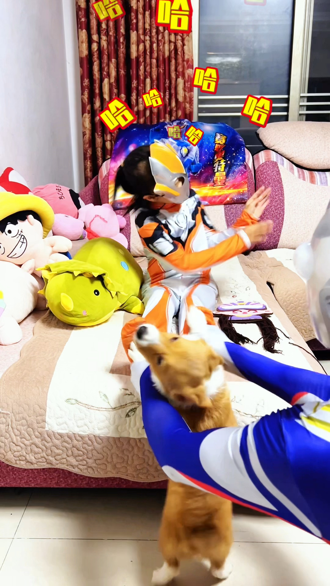 你知到狗狗挠痒痒是什么感受吗