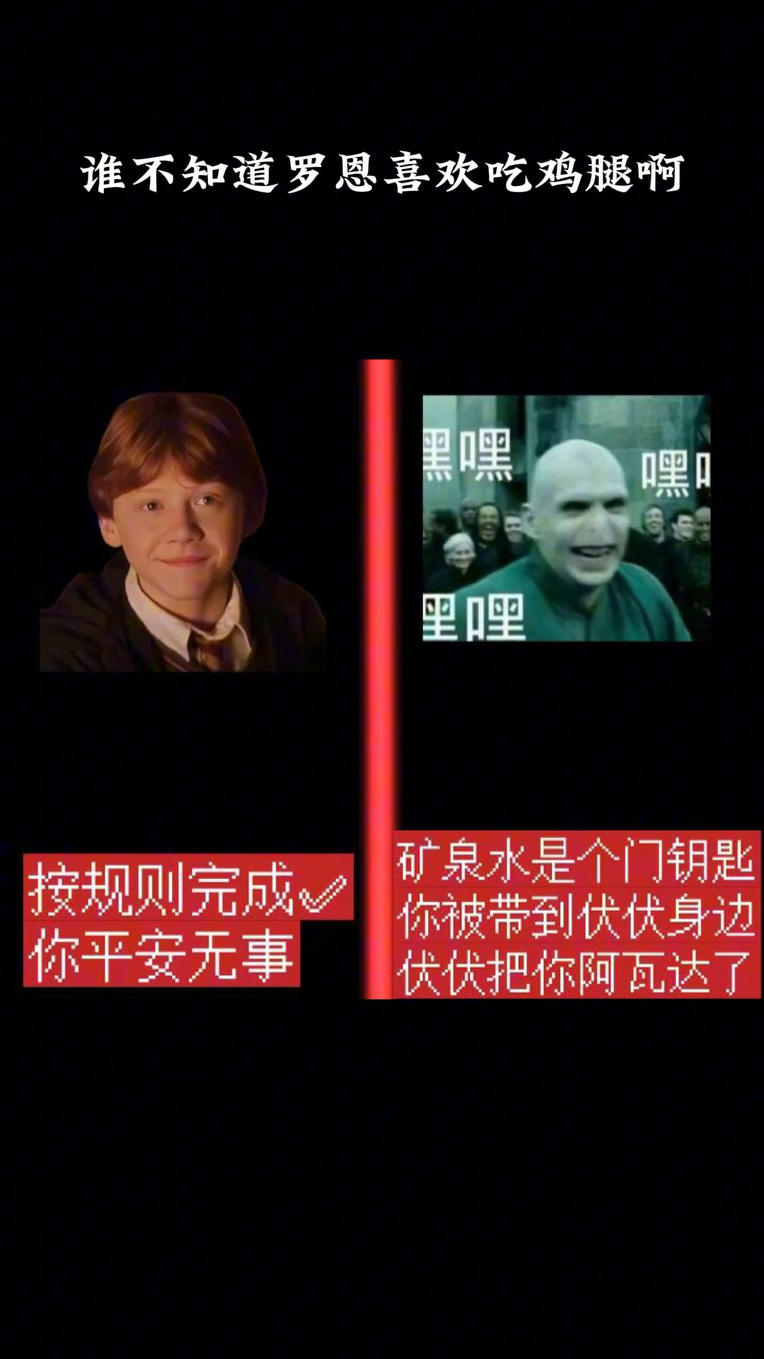 谁不知道罗恩喜欢吃鸡腿啊