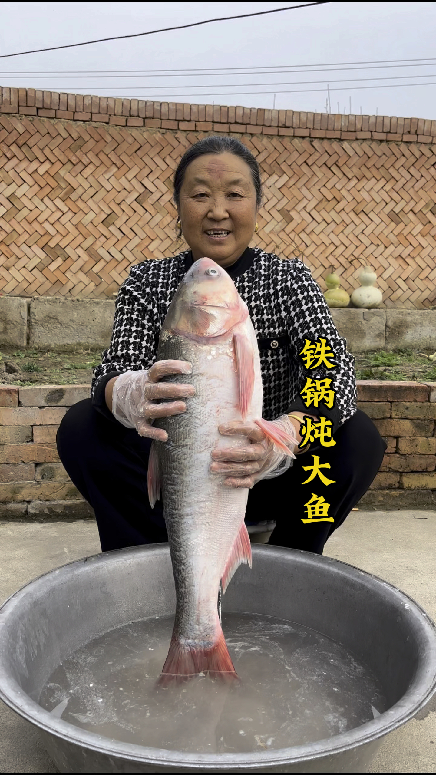 铁锅炖大鱼,浓郁的鱼香和锅气的完美结合,真是太香了