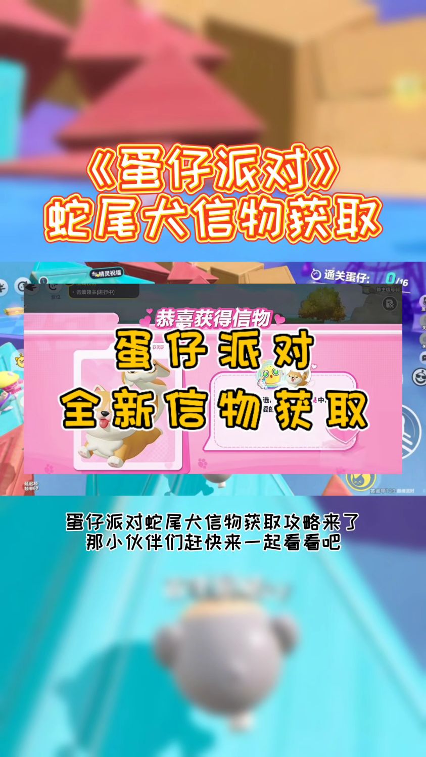 蛋仔派对蛇尾犬的信物获取攻略 蛋仔派对蛇尾犬信物怎么获得