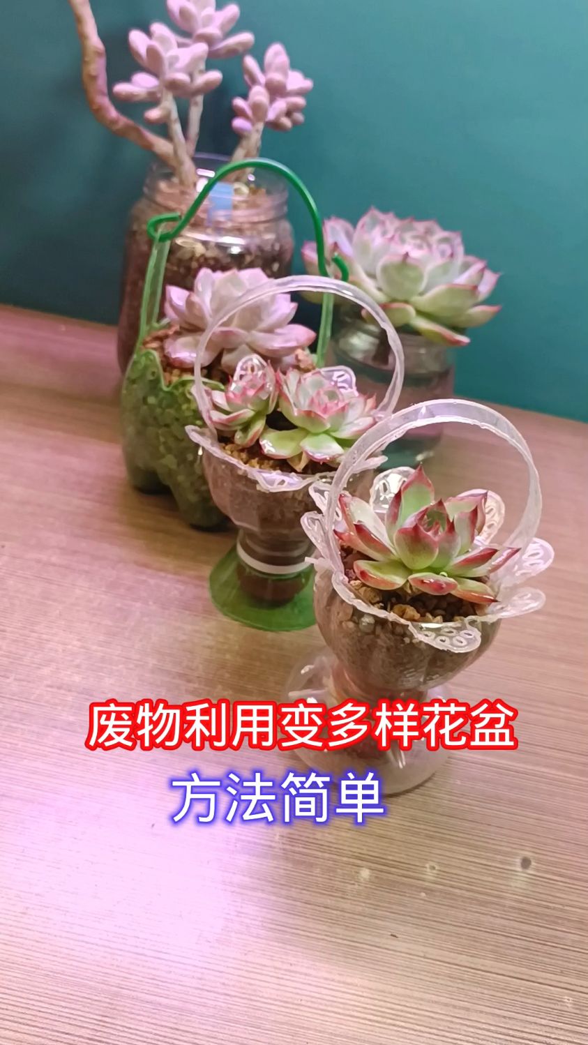 变废为宝,多样花盆