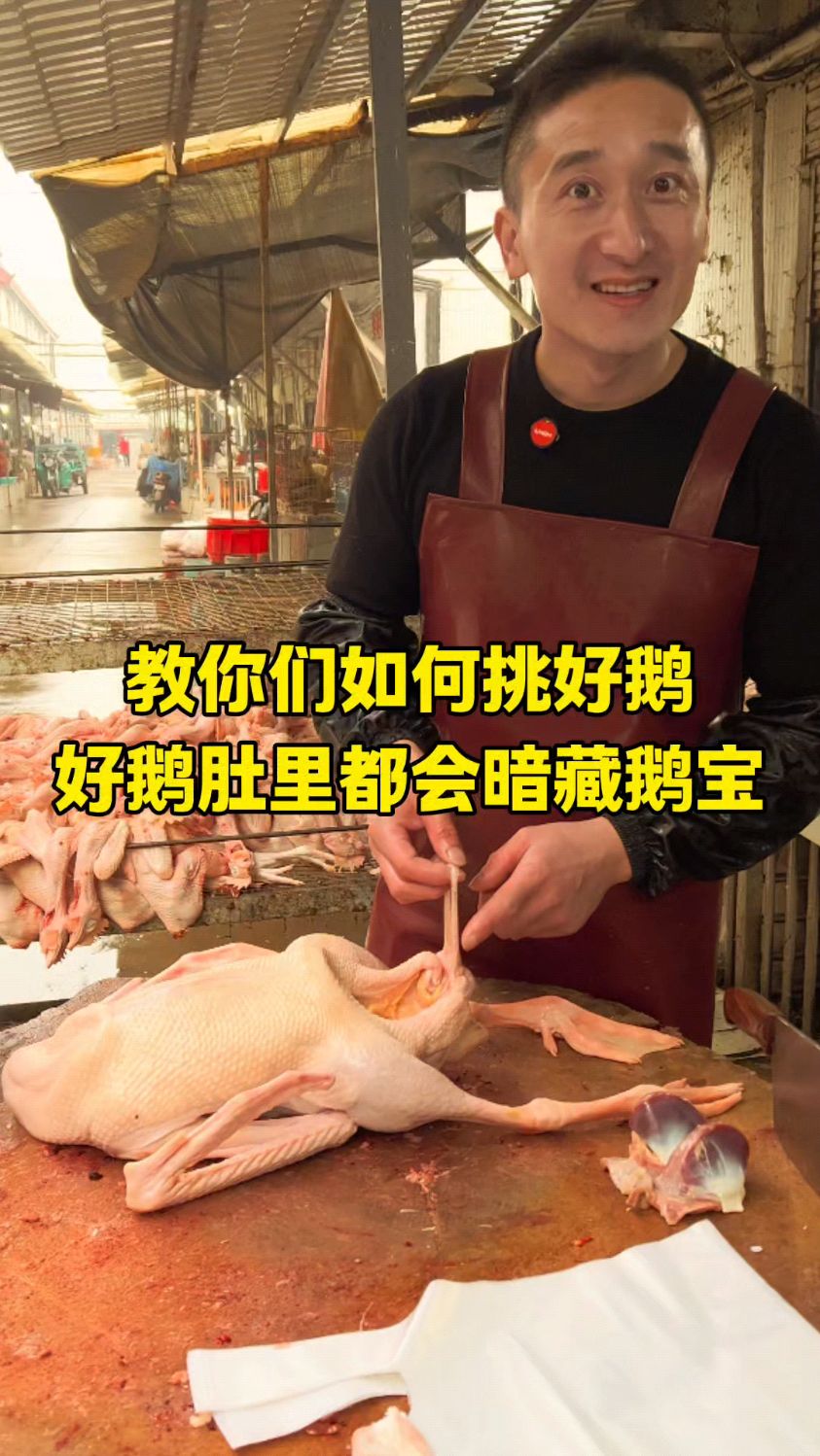 教你们如何挑好鹅,好鹅肚里都会暗藏鹅宝