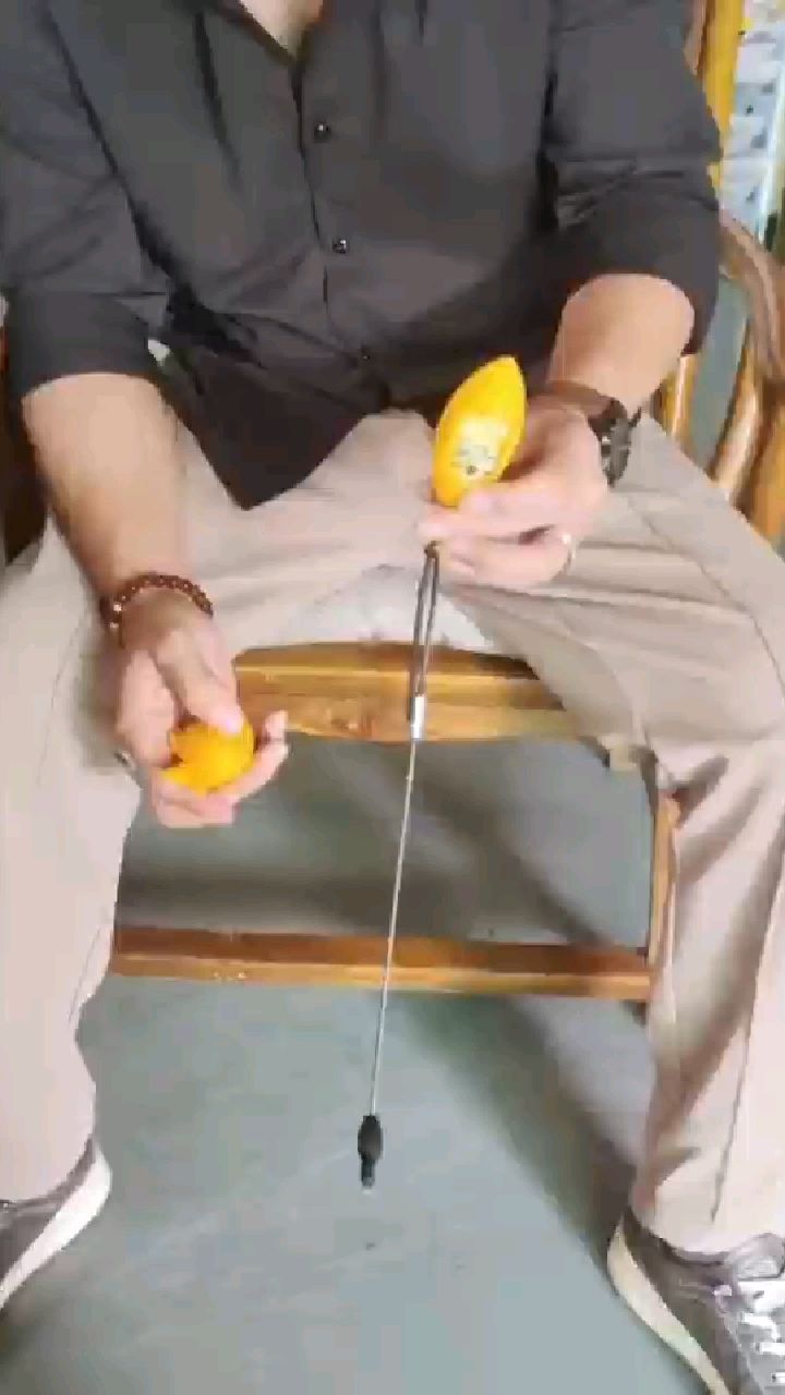 艾尼可诱鱼器原理讲解