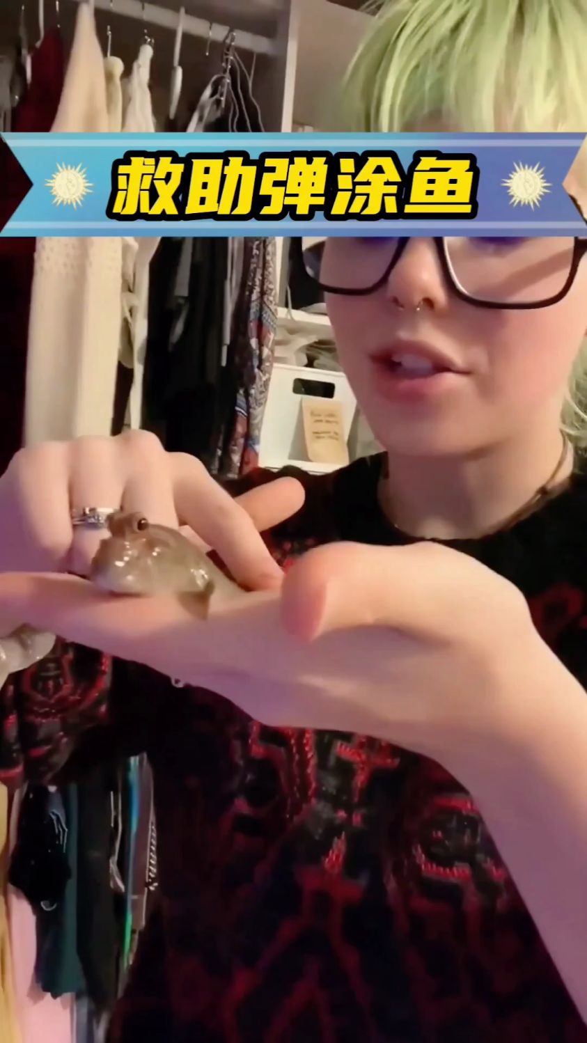 女孩在海边发现一条特别的小鱼,结果小鱼一直跟着她