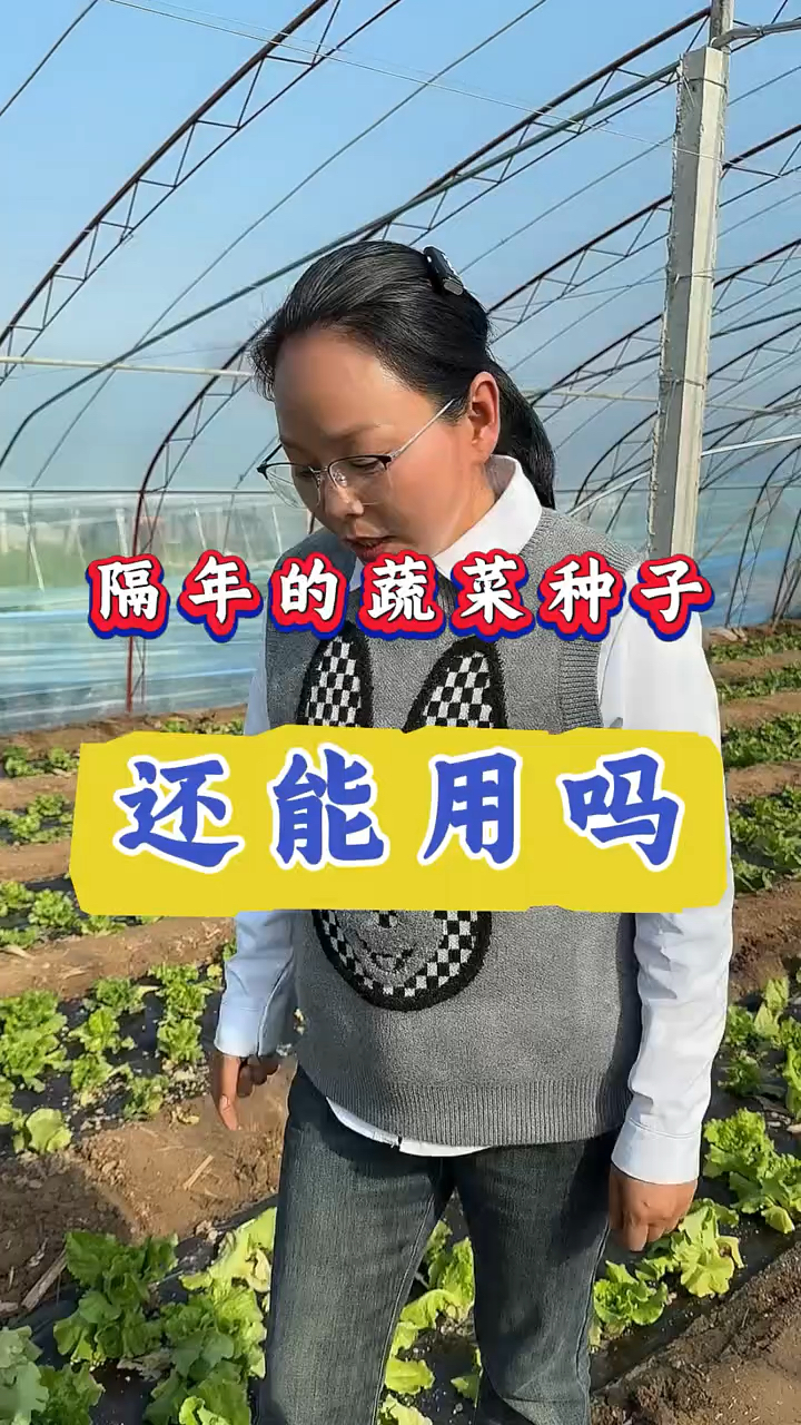 隔年的蔬菜种子还能用吗