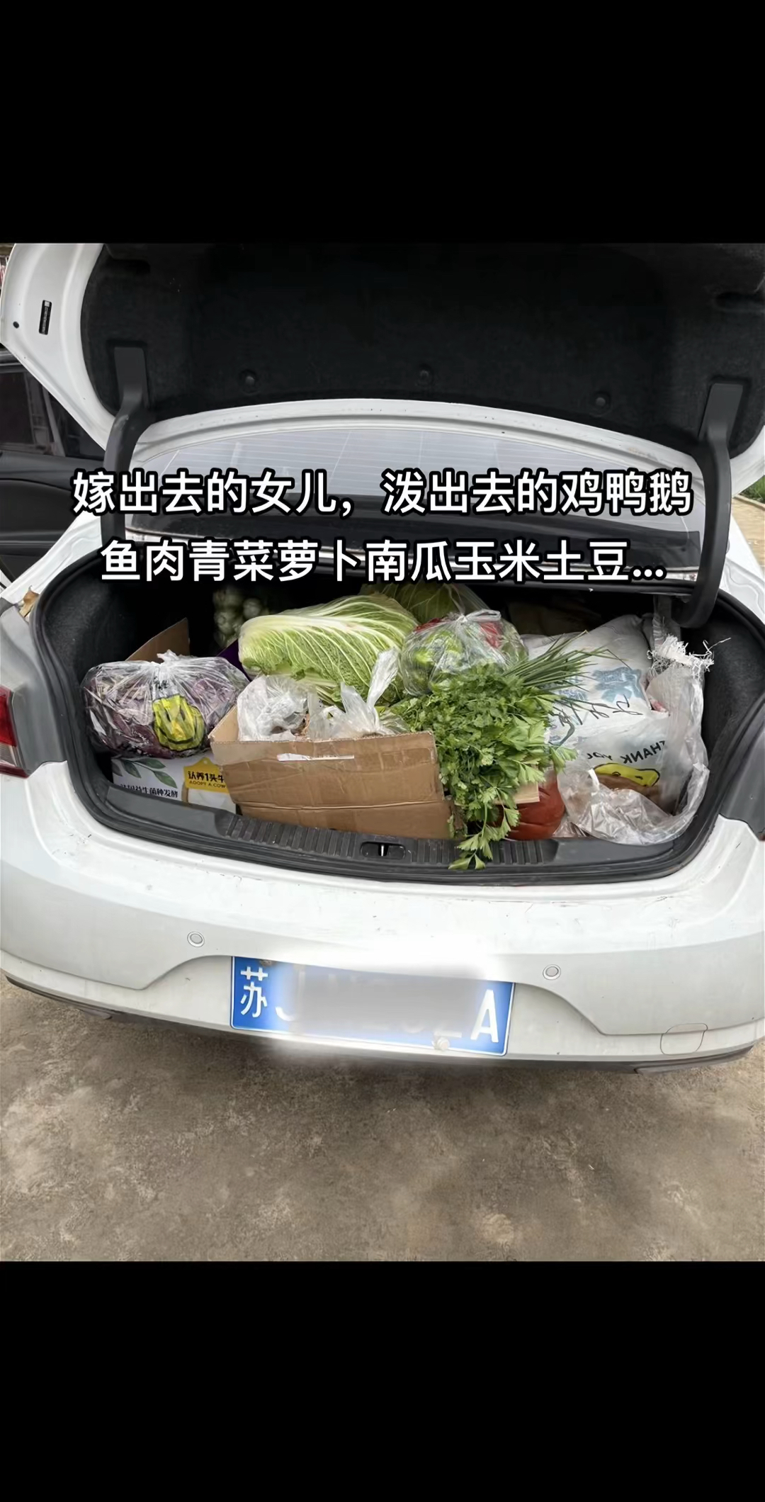 嫁出去的女儿泼出去的,鸡鸭鱼肉