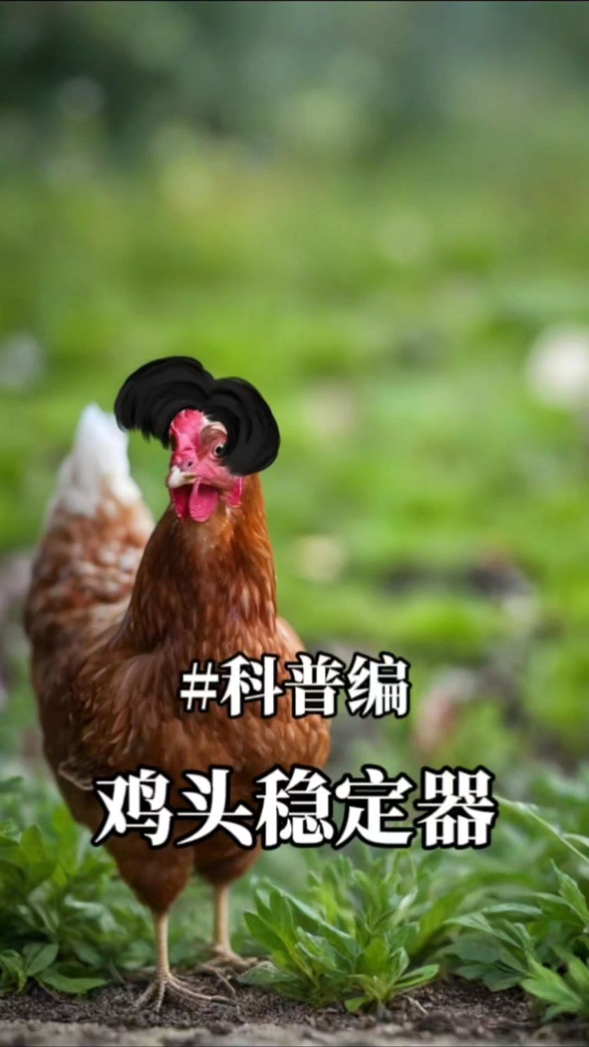 鸡头防抖稳定神器