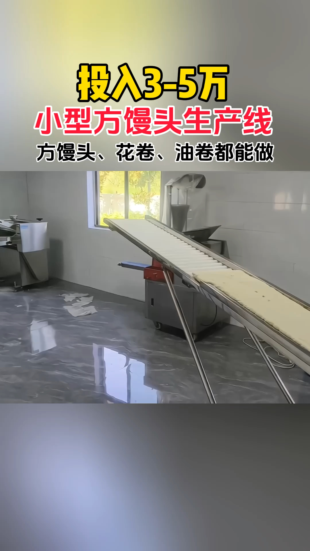 3-5万,小型馒头生产线,一小时做3000多个