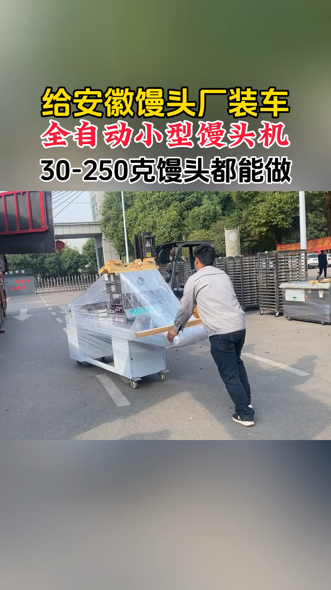 全自动小型馒头机,30-250克馒头都能做