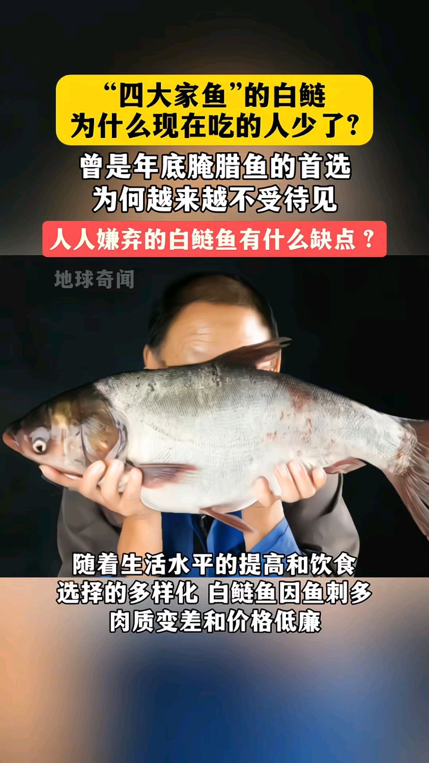 “四大家鱼”的白鲢,为什么现在吃的人少了?