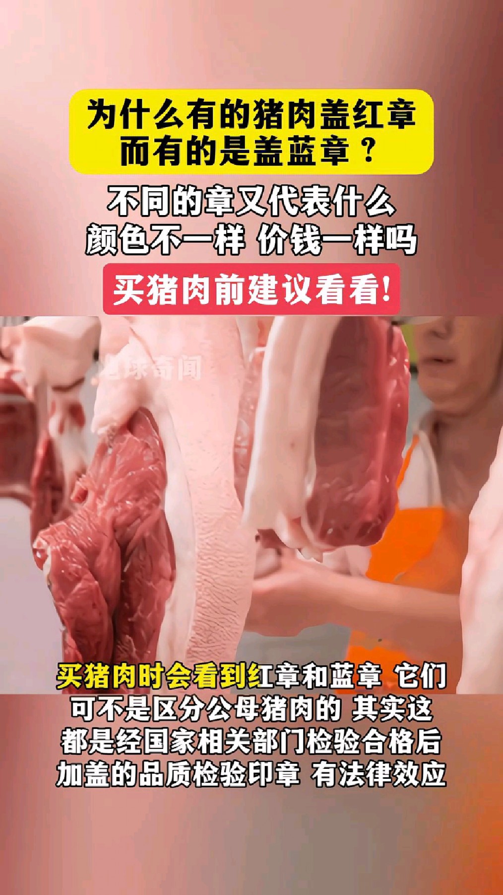 为什么有的猪肉盖红章,而有的是盖蓝章?