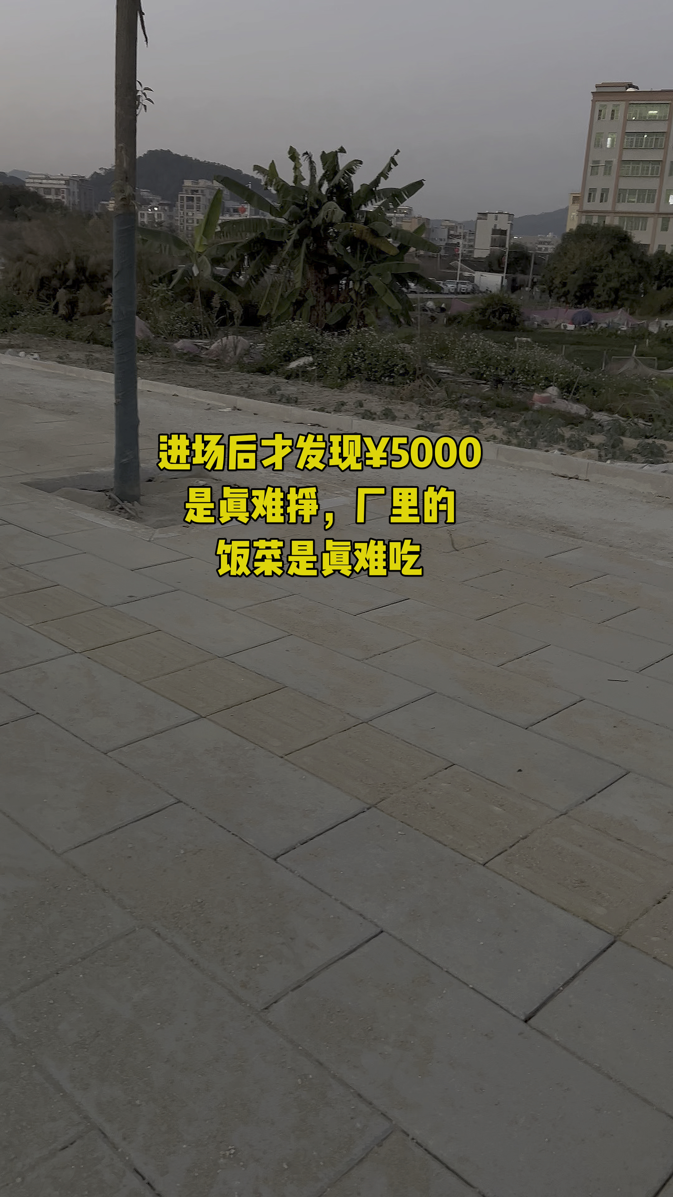 进场后才发现5000 是真难挣,厂里的饭菜是真难吃
