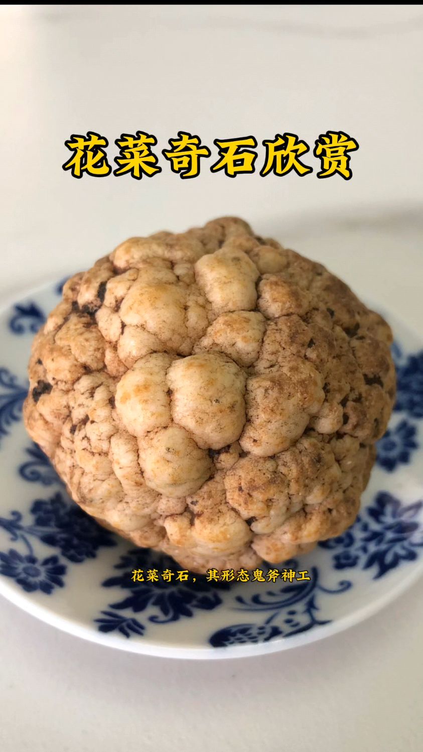 精品花菜奇石欣赏