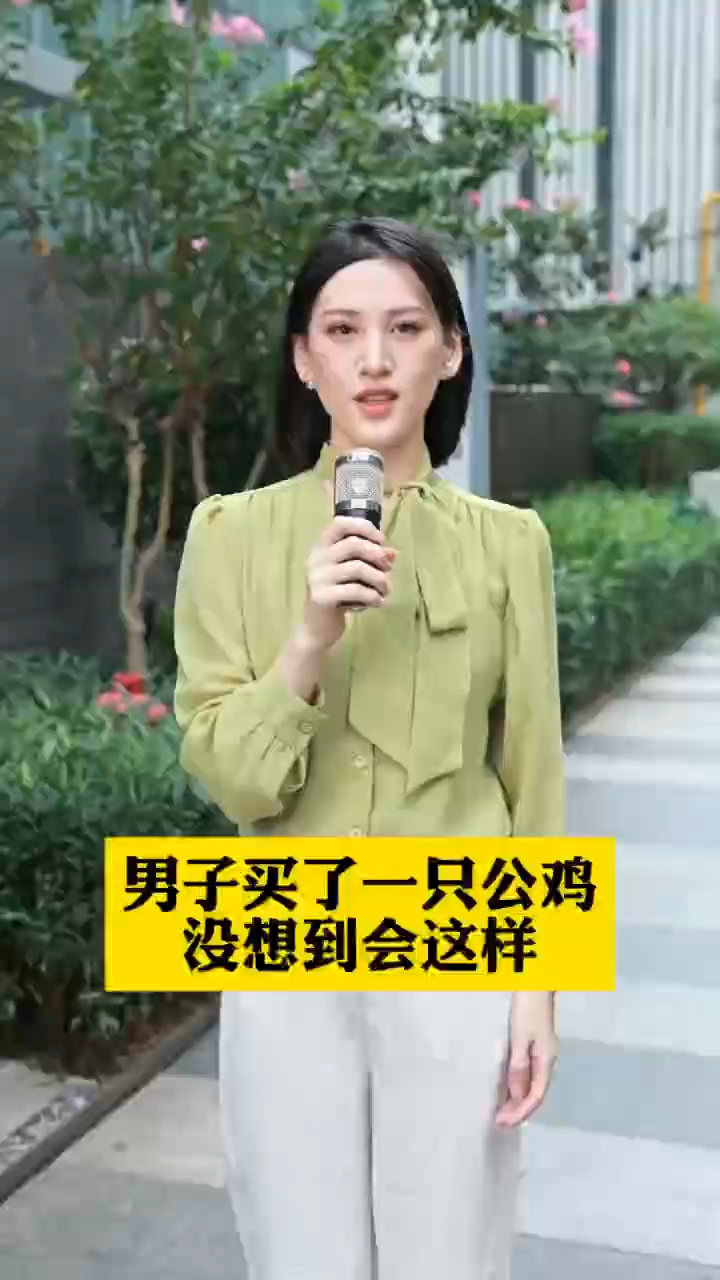 买了一只色彩斑斓的大公鸡