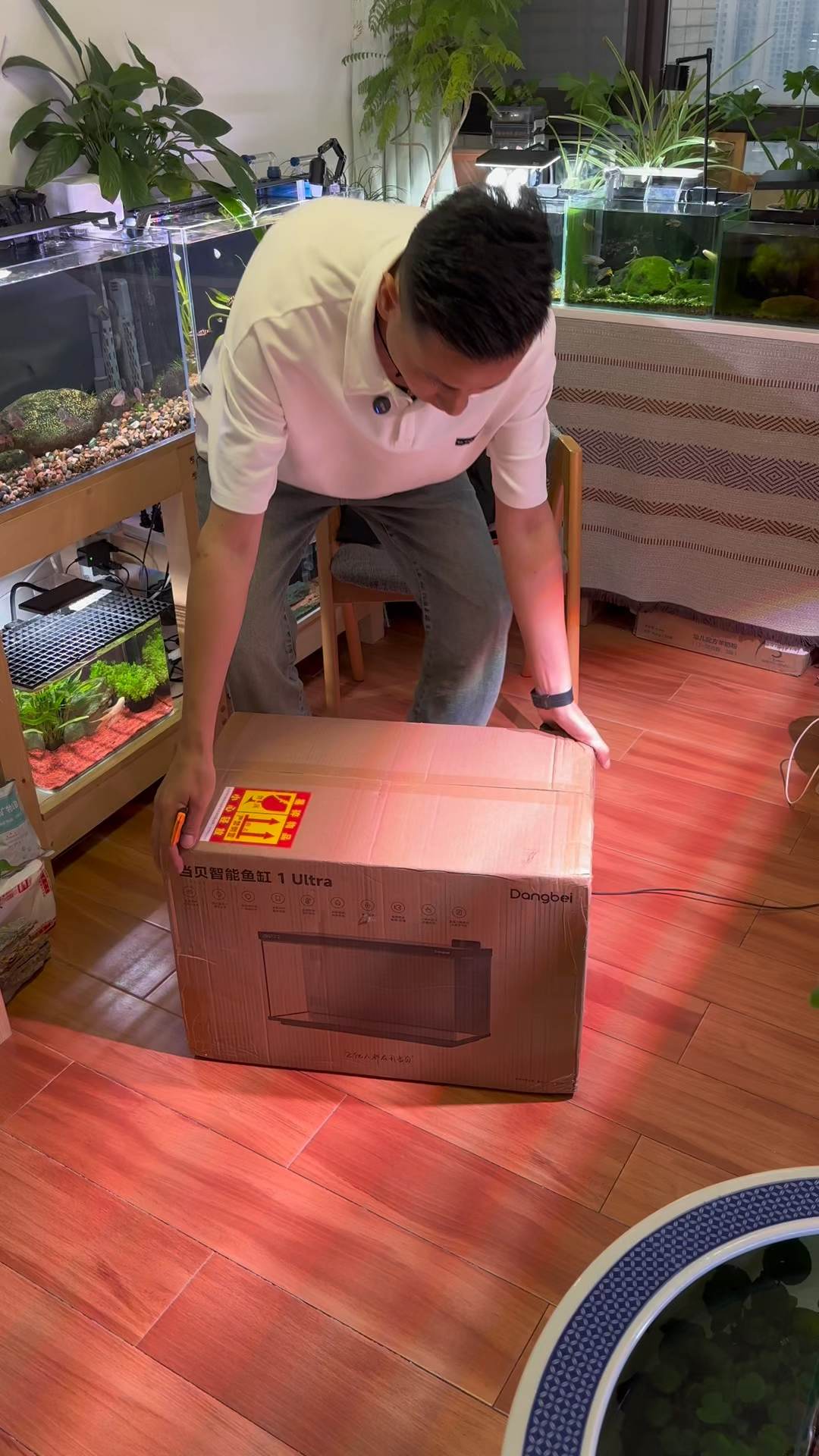 又增加了一个新缸,看起来很漂亮,不知道效果如何