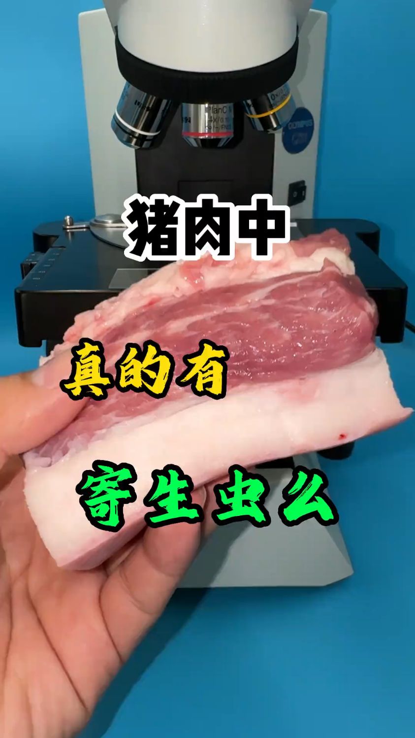 猪肉中真的有寄生虫么