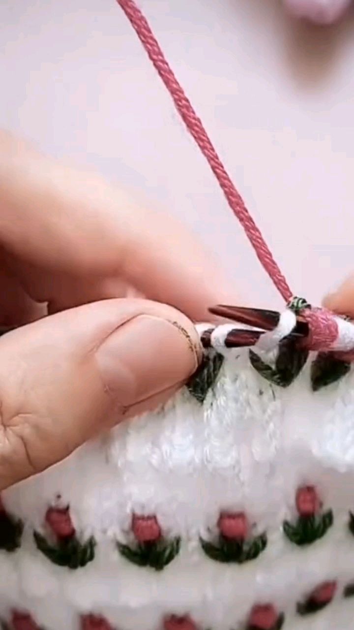 郁金香花朵真是太漂亮了