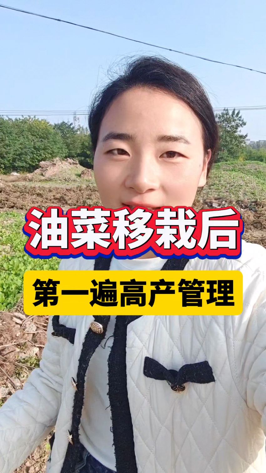 油菜病虫害防治管理