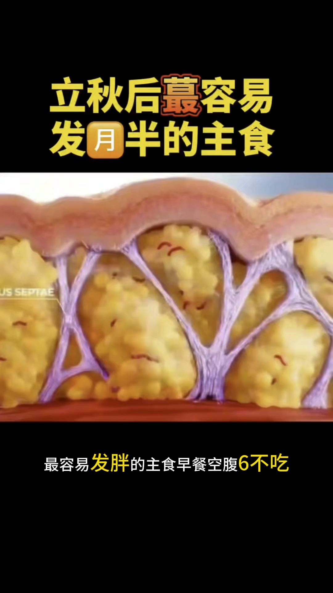 掉秤飞快六个不吃