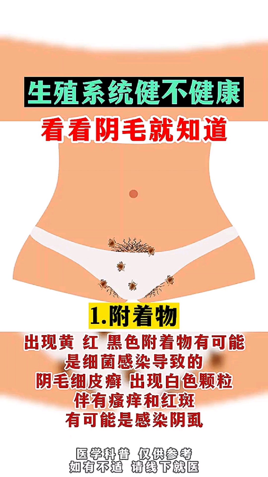 阴毛 女士底下毛毛图片大全- 百度