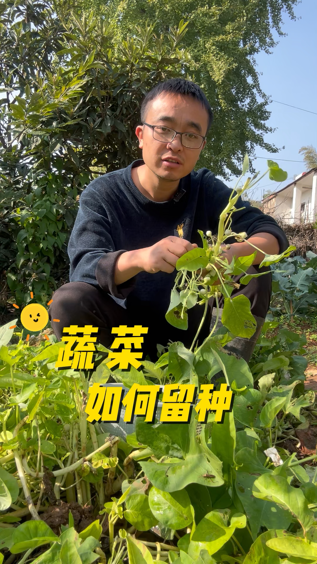 蔬菜怎么留种子?