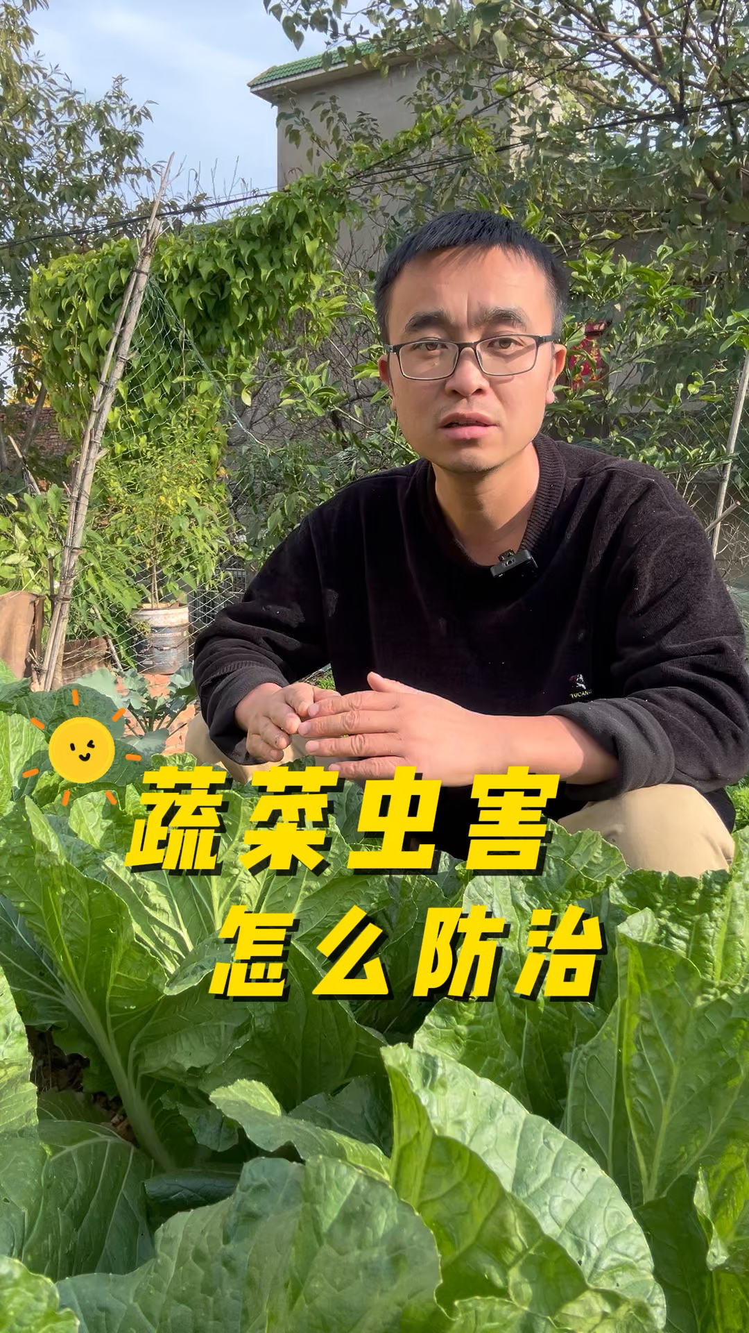 蔬菜病虫害怎么防治?