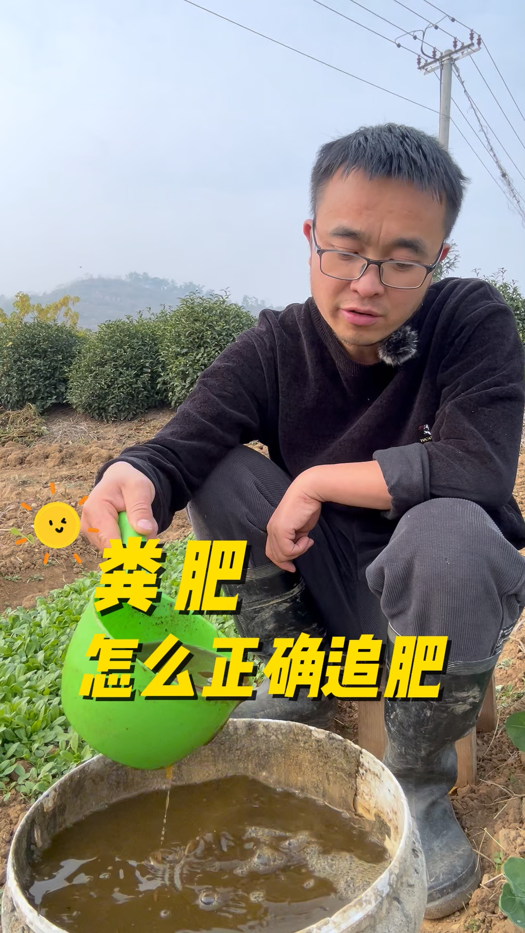 粪肥怎么正确追肥?荠菜怎么追肥?