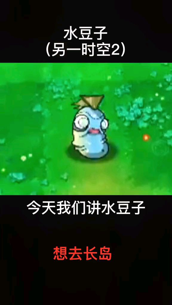 Pvz中的水豆子你见过吗?