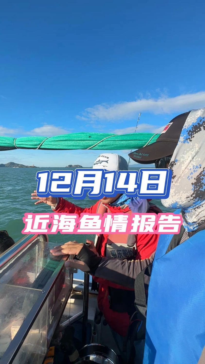 近海鱼情报告来了!