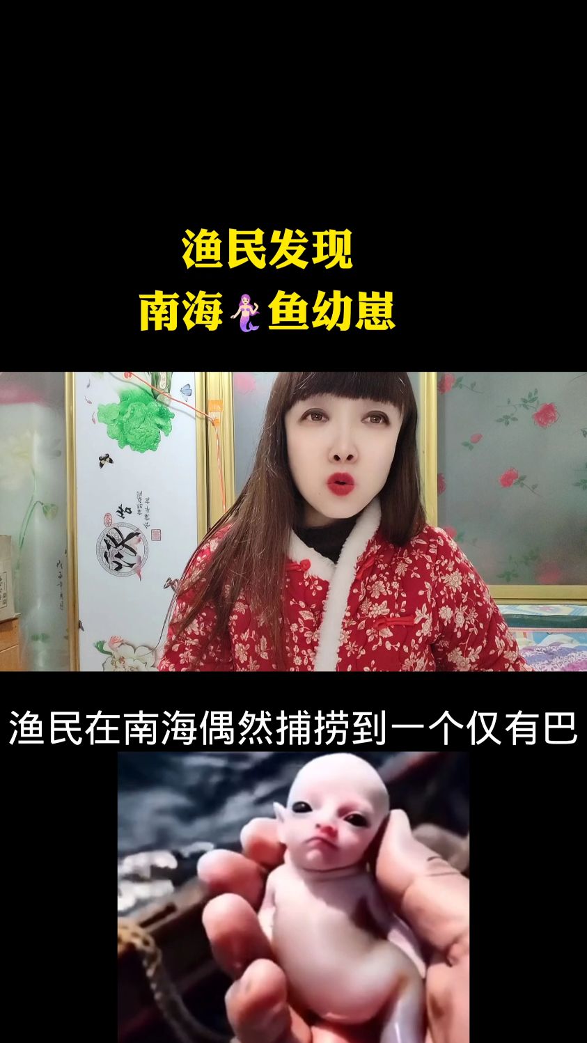 渔民发现南海美人鱼幼崽