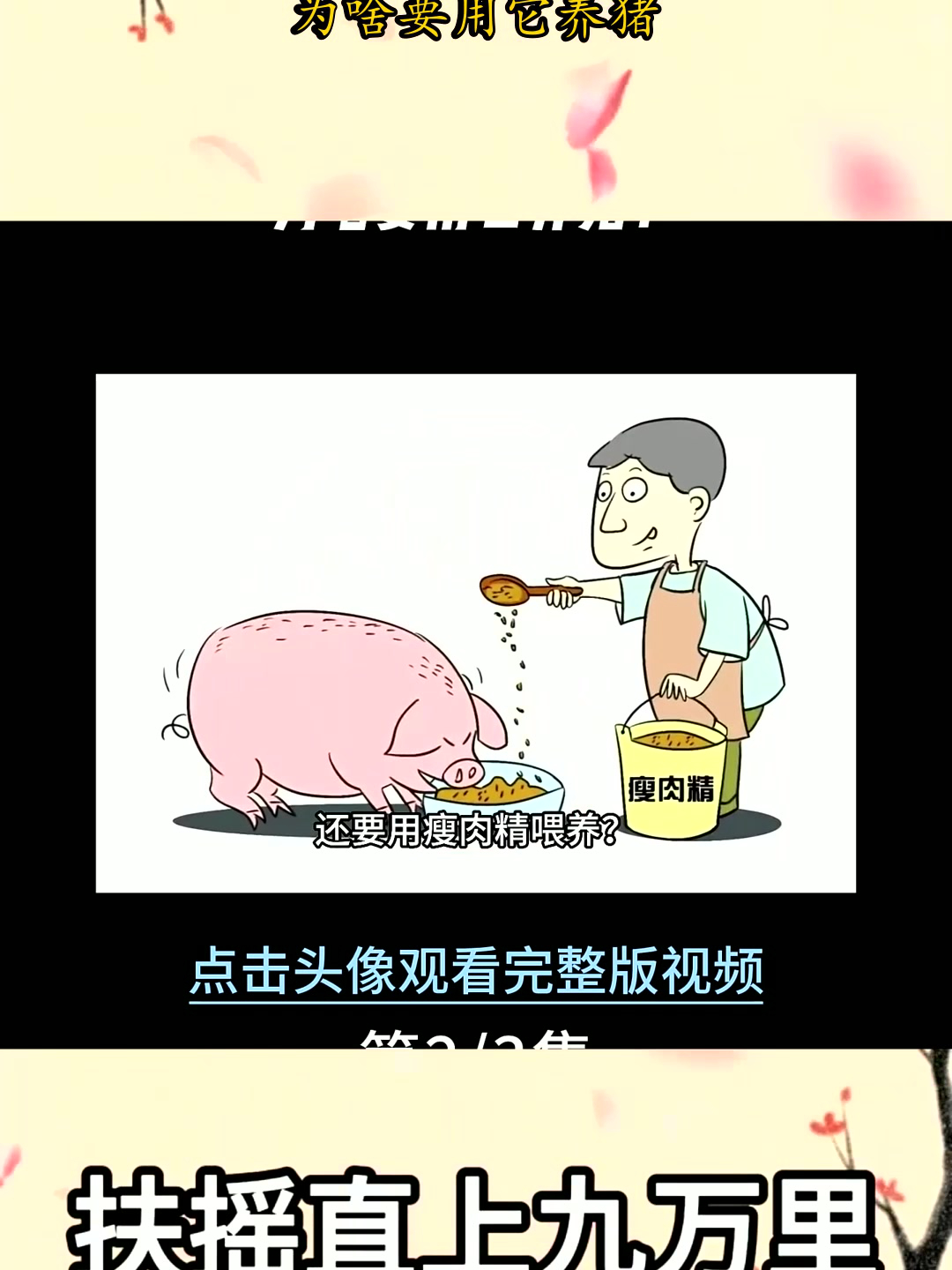 瘦肉精是怎么出现的?为啥要用它养猪?