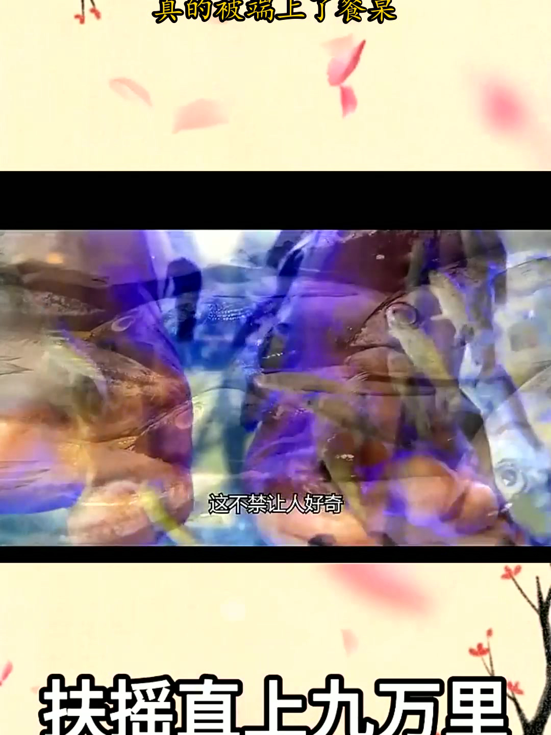 足疗小鱼退休后去哪了?真的被端上了餐桌? 