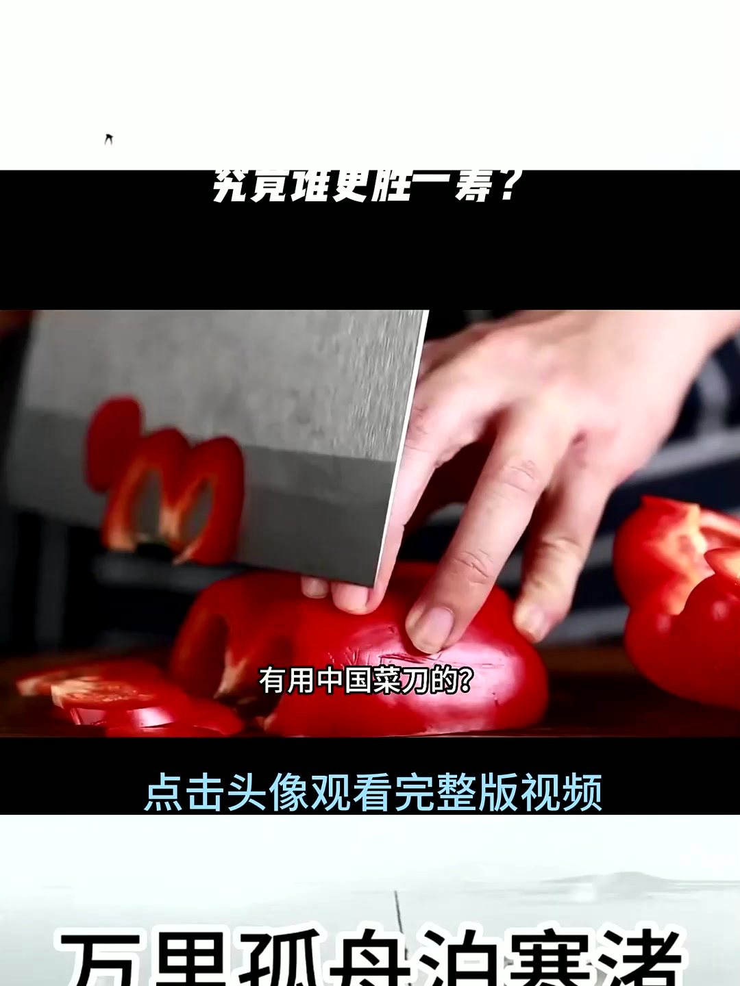 中国菜刀VS日本厨刀,究竟谁更胜一筹?#日本 #厨刀 #菜刀