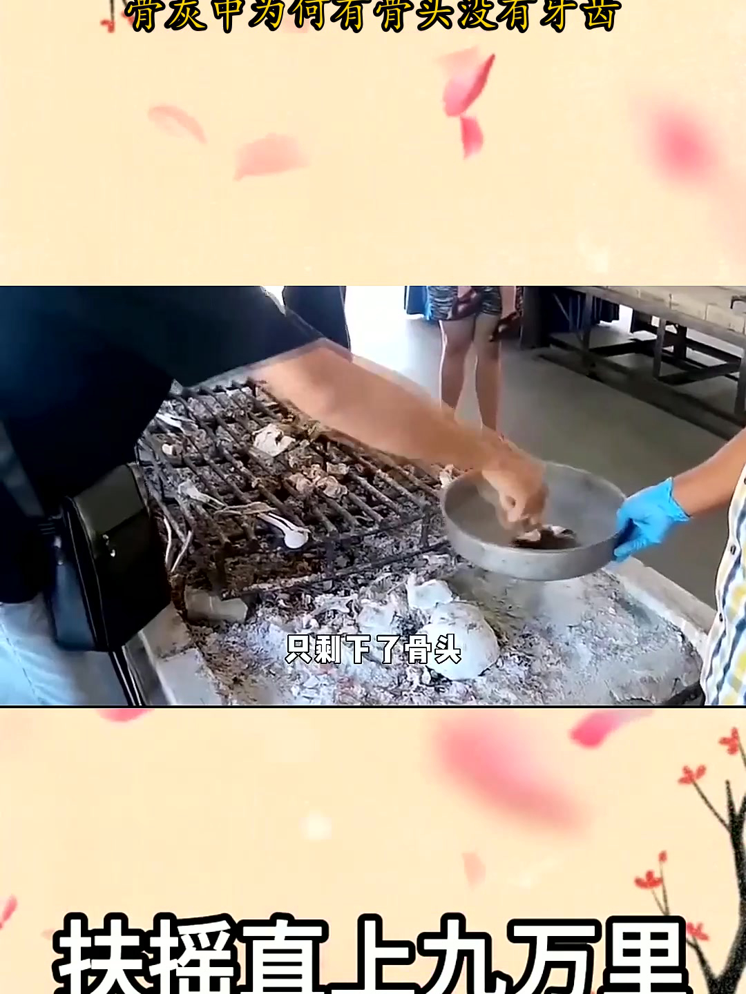 遗体火化家属为啥不能靠近,骨灰中为何有骨头没有牙齿?     