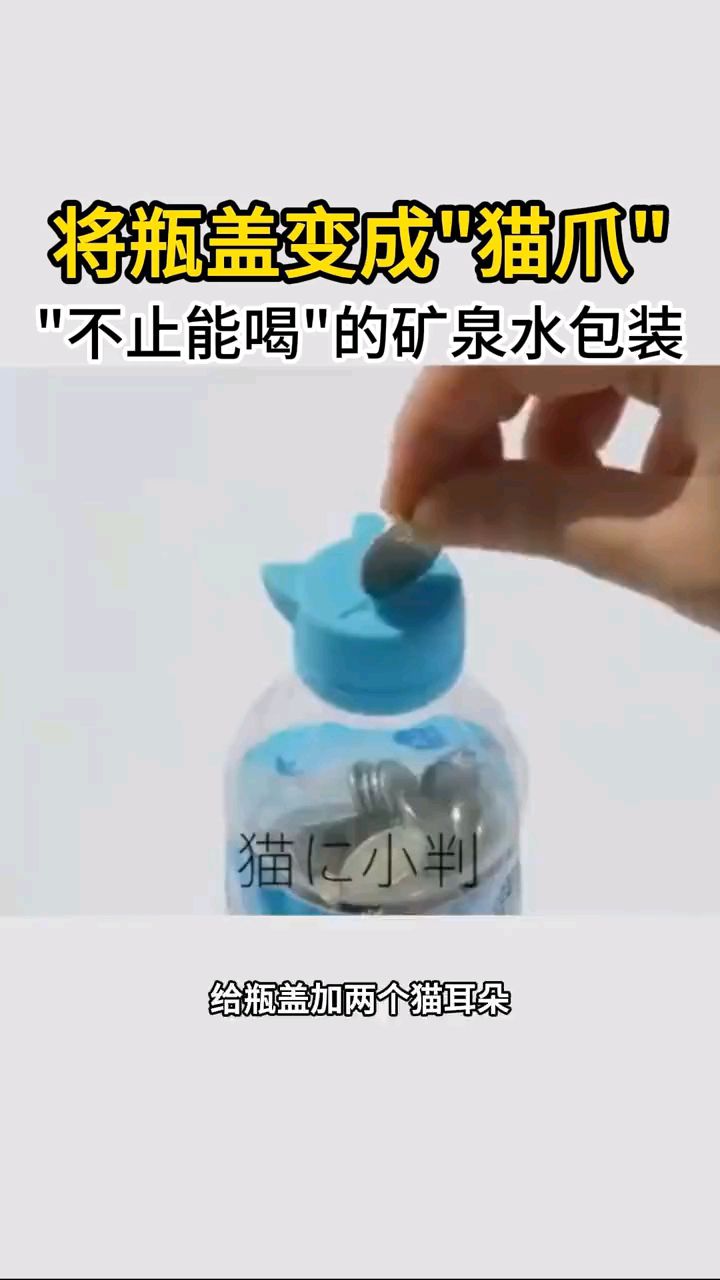 食品包装设计方案