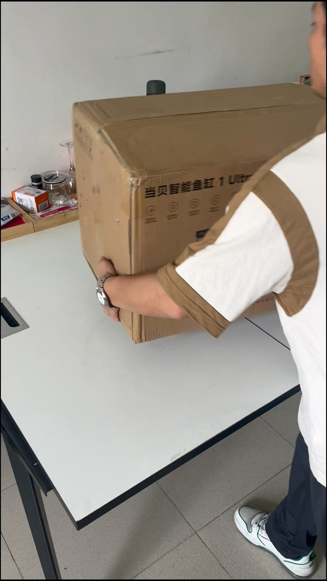 新手保护期,当贝智能鱼缸开缸