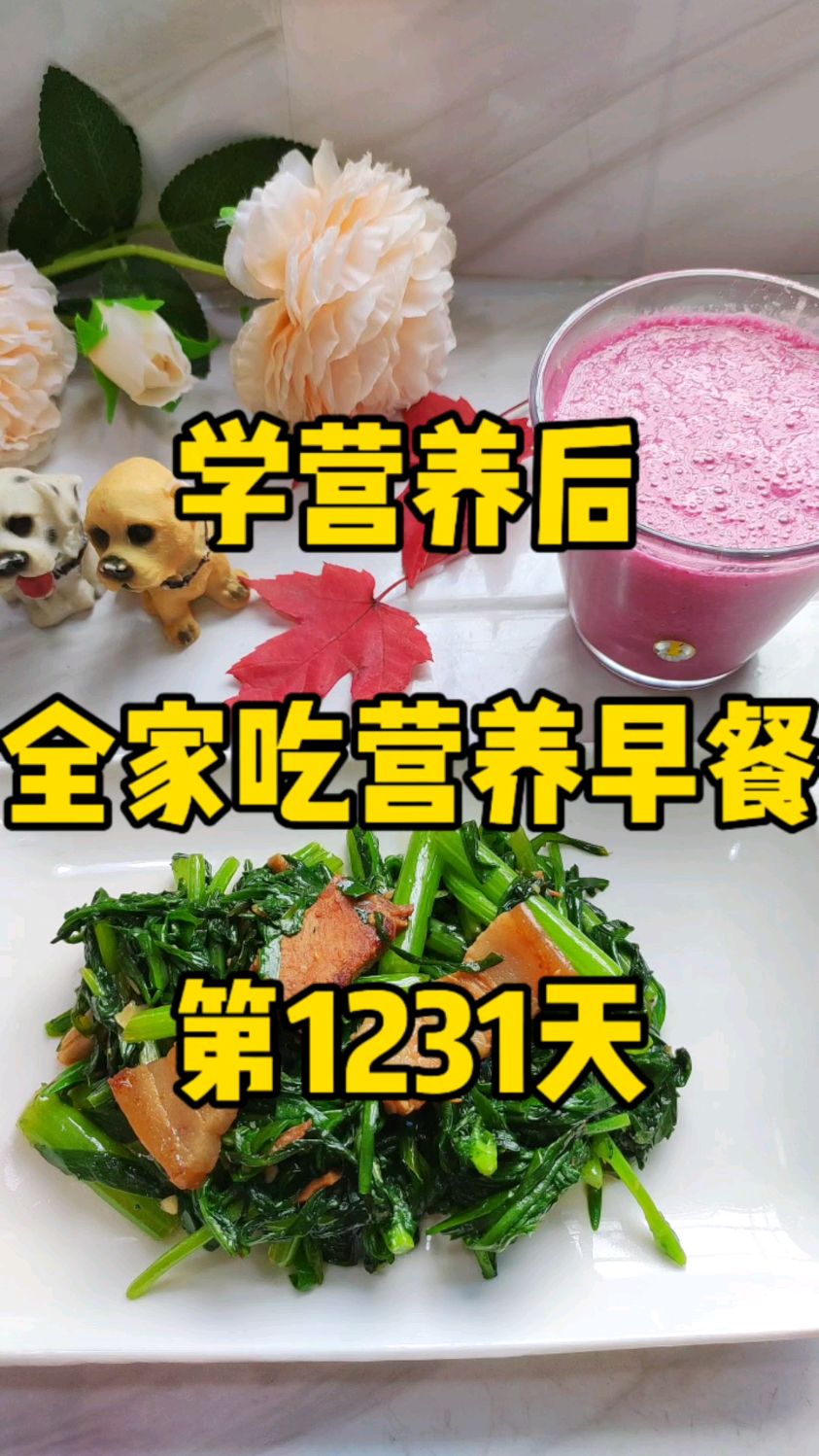 营养餐食谱,第1231天