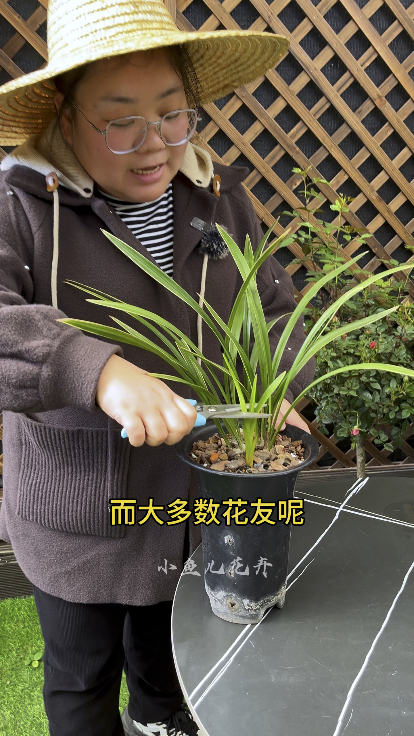 养兰花记住这三忌