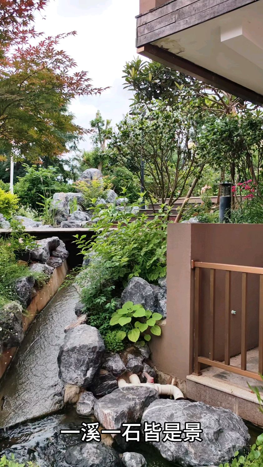 中式庭院花园的鱼池假山流水