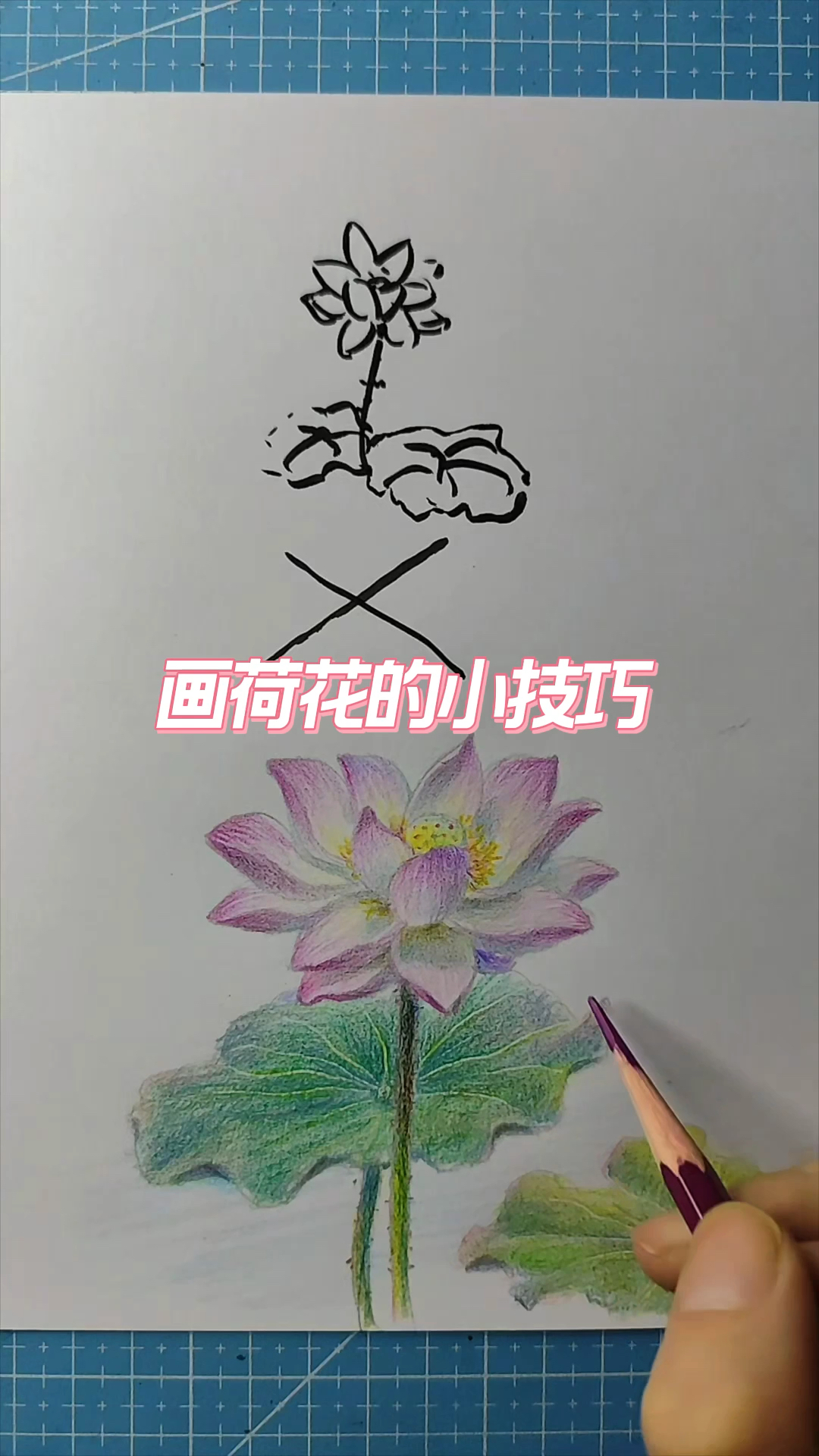 画荷花的小技巧,你学会了吗?