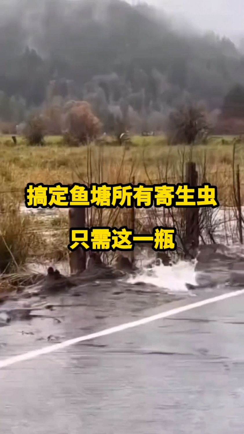 搞定鱼塘所有寄生虫就用这一瓶。