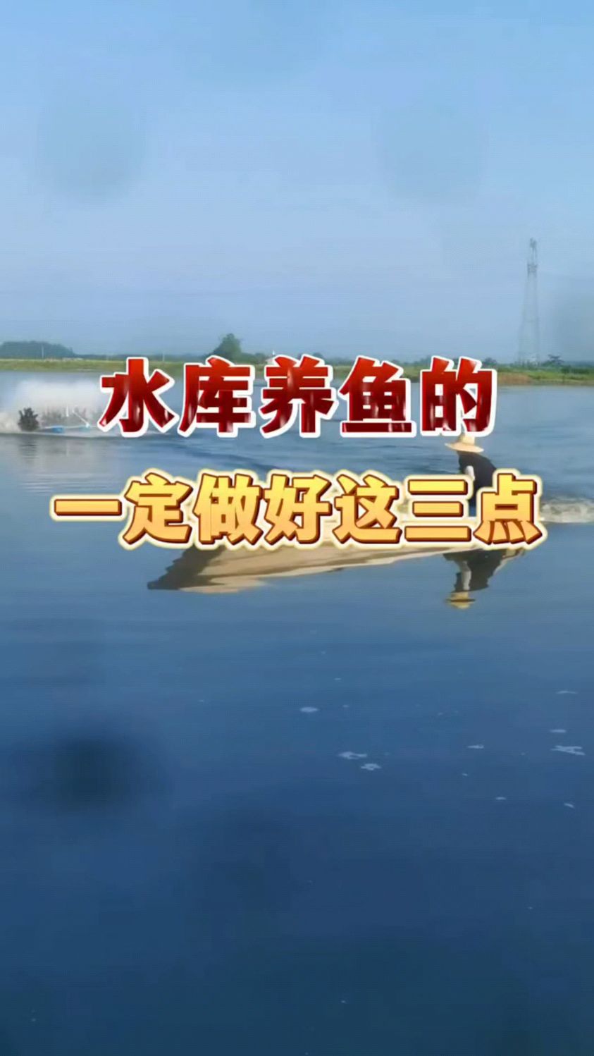 水库养鱼一定要做好这3点。