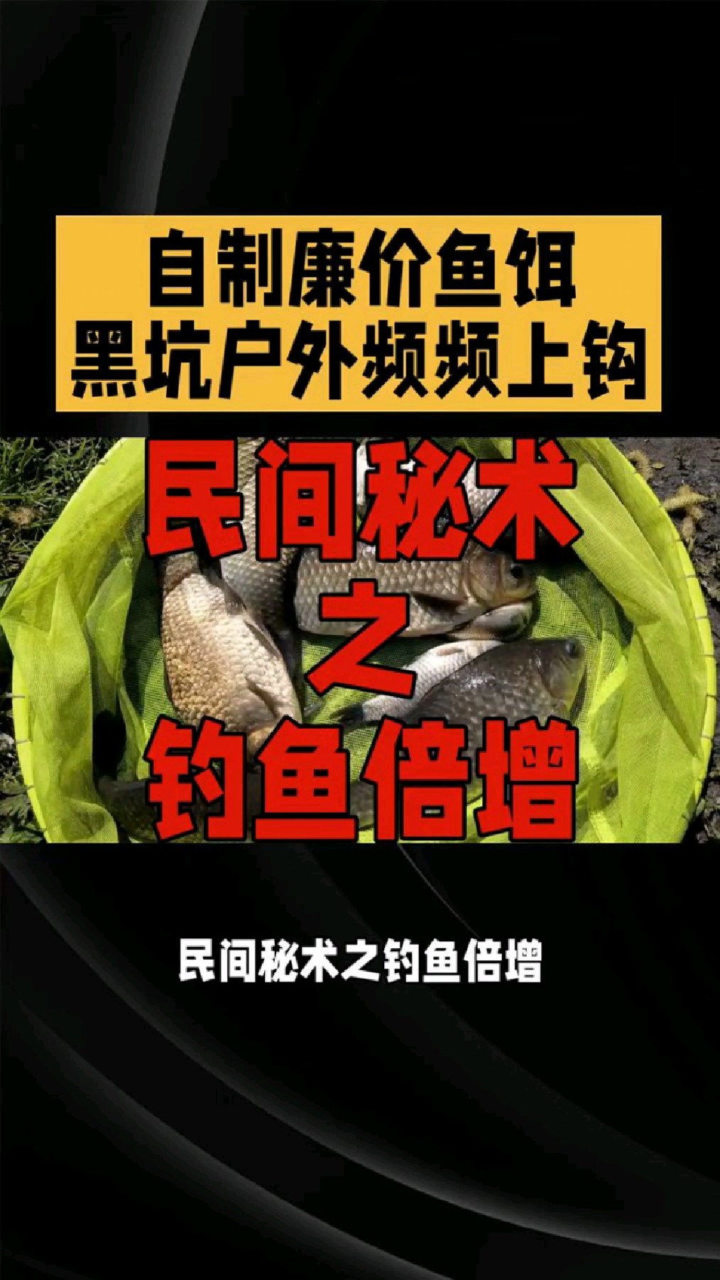民间秘术自制廉价鱼饵。