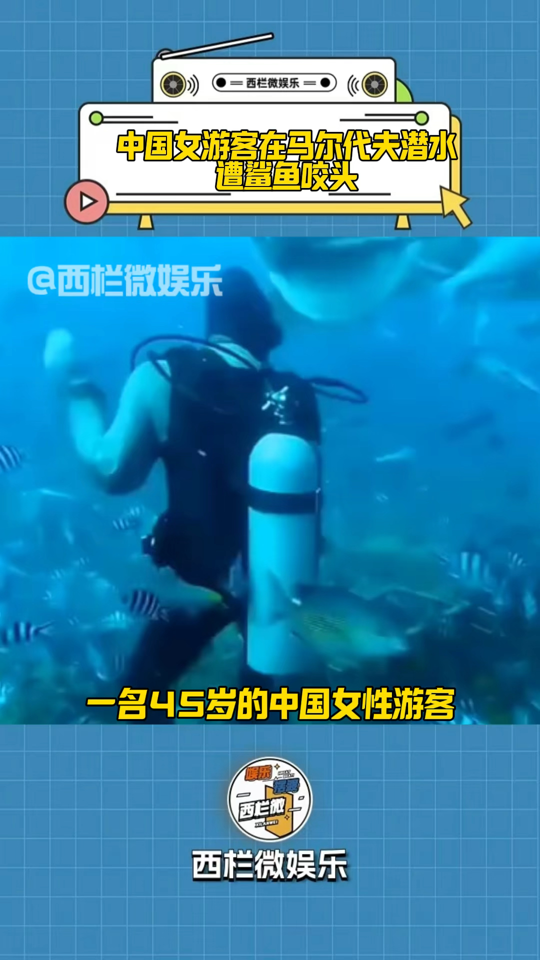 中国女游客在马尔代夫潜水遭鲨鱼咬头“鲨口逃生”惊险画面曝光