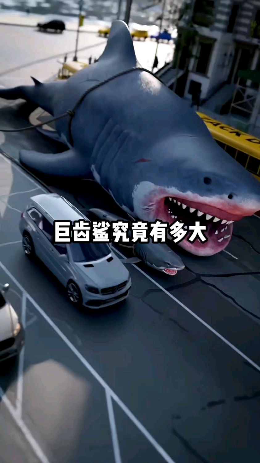 巨齿鲨究竟有多大?