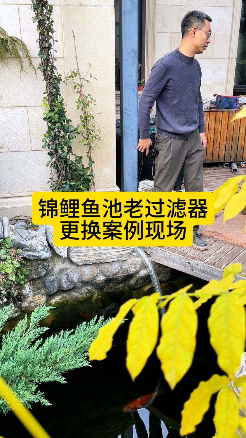 山身后这台黑色的德国某品牌过滤器在这个锦鲤鱼池旁边服役已经有