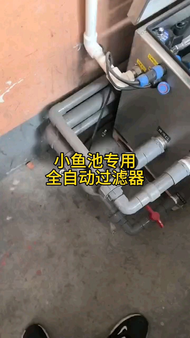 3吨水的小锦鲤鱼池位于河南安阳,安装一台德鼎5吨水,每小时的